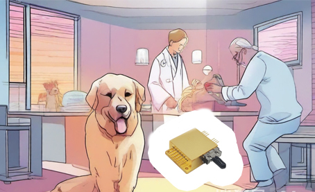 Laser Pet Therapy